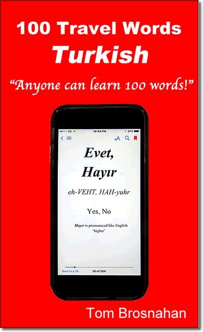 100 Travel Words - Turkish ebook