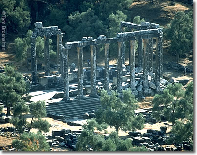Temple of Zeus at Euromos, Aegean Turkey