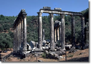 Temple of Zeus at Euromos, Aegean Turkey