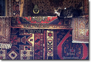 Istanbul Carpet Shop, Turkey