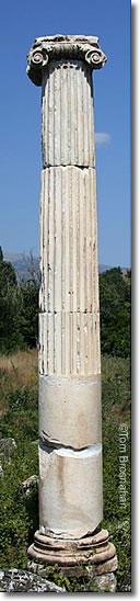 Ionic column at Aphrodisias, Aegean Turkey