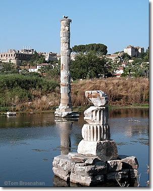 Temple of Artemis (Artemision), Selçuk (Ephesus), Turkey