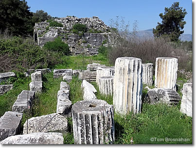 Belevi Landscape