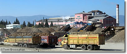 Sugar Beet Factory, Burdur, Turkey