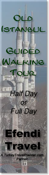 Old Istanbul Guided Walking Tour by Efendi Travel