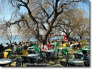 Tea Gardens at Moda, Istanbul, Turkey