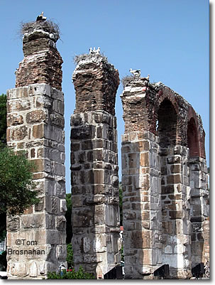 Storks on Roman Aqueduct, Selçuk (Ephesus), Turkey