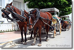 Horse Carriages, Buyukada, Istanbul, Turkey
