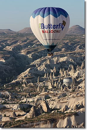Butterfly Balloons, Cappadocia, Turkey