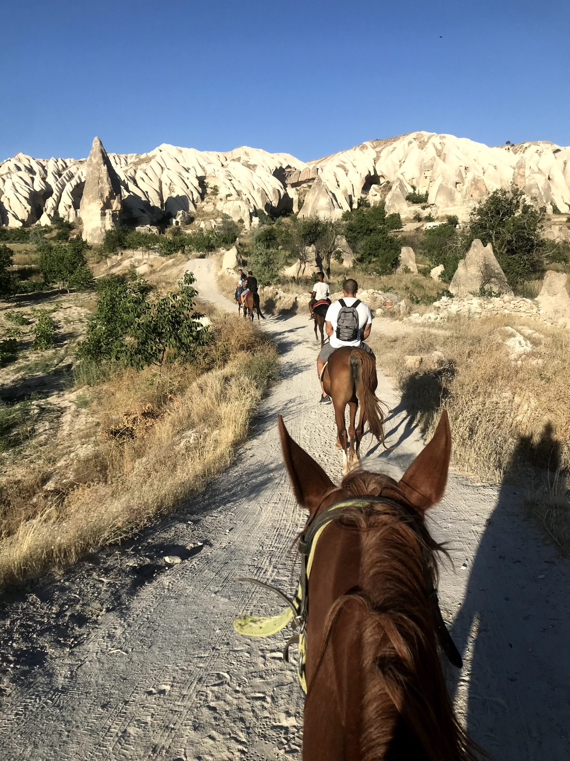 cappadocia horse tours