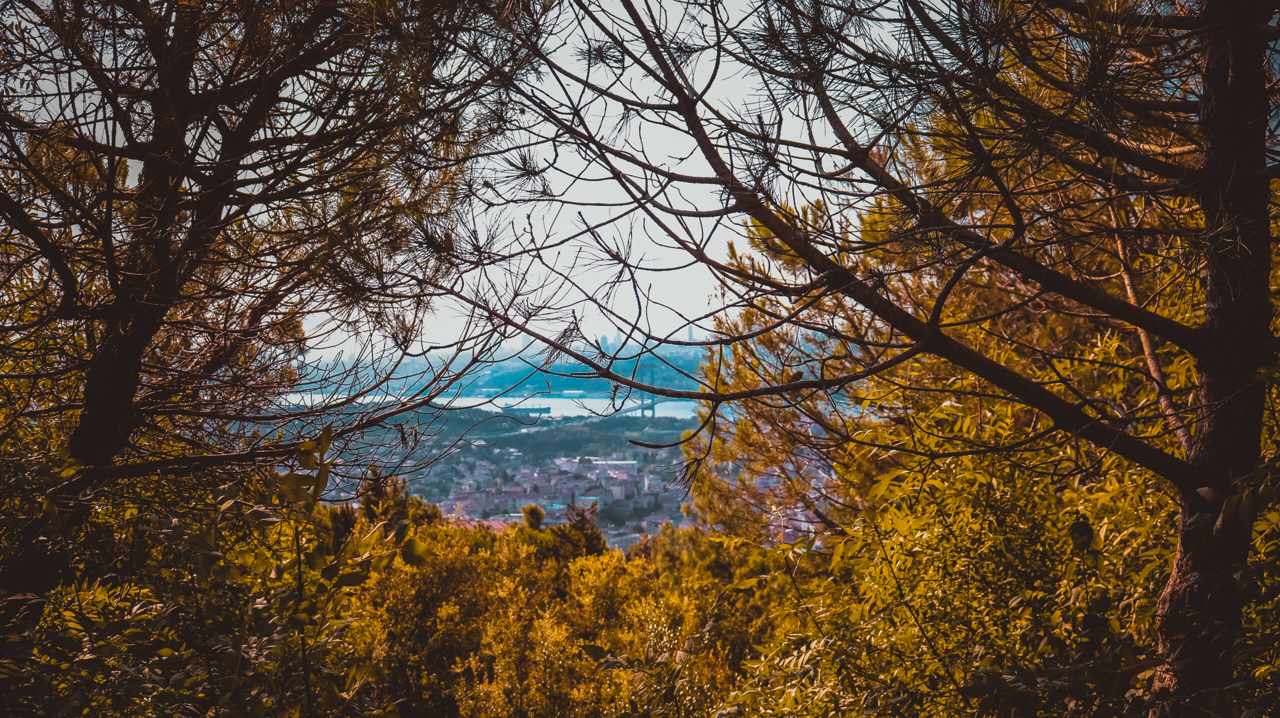 Top 10 things to do in Istanbul