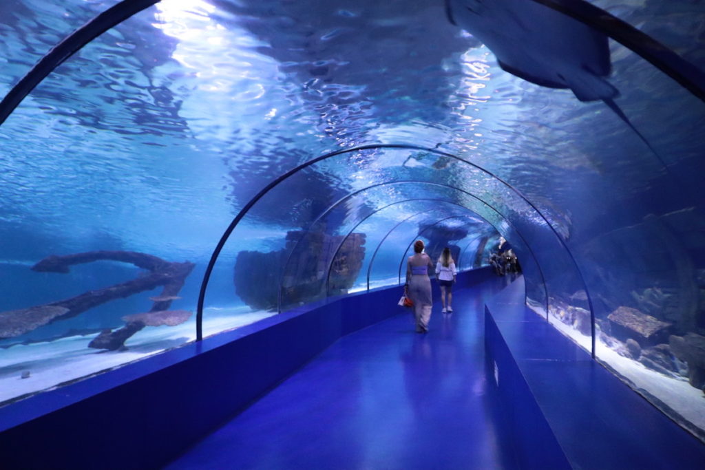 Antalya Aquarium - Turkey Travel Planner