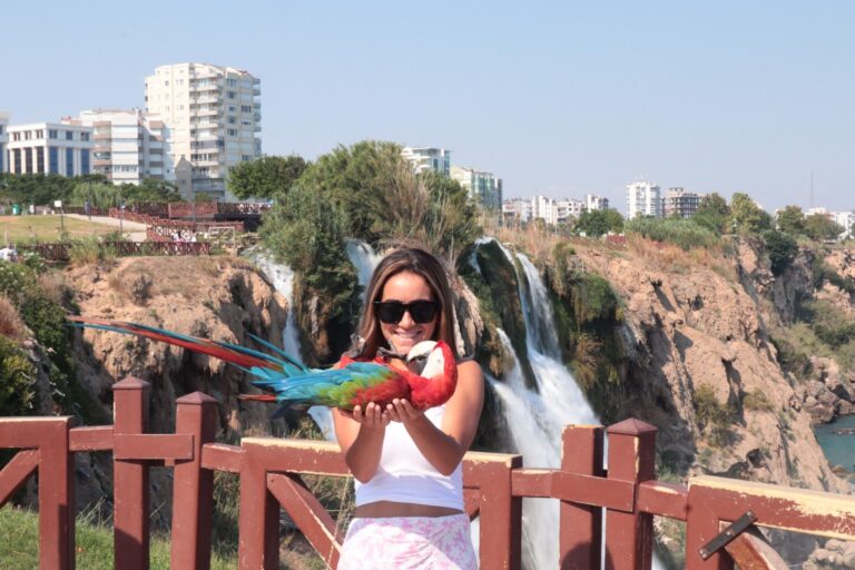 Picture with Parrot