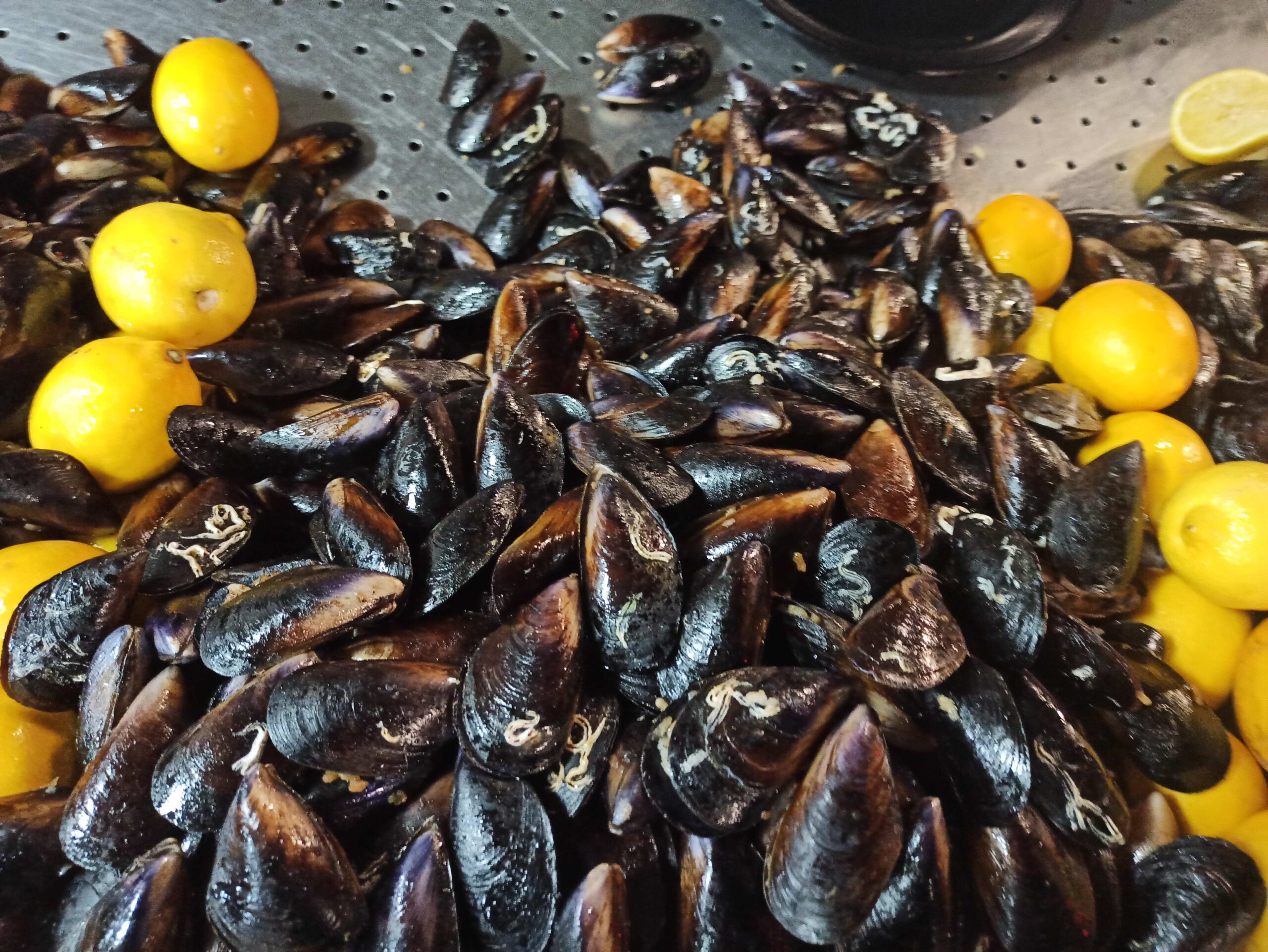 Midye – Filled mussels Midye - Filled mussels