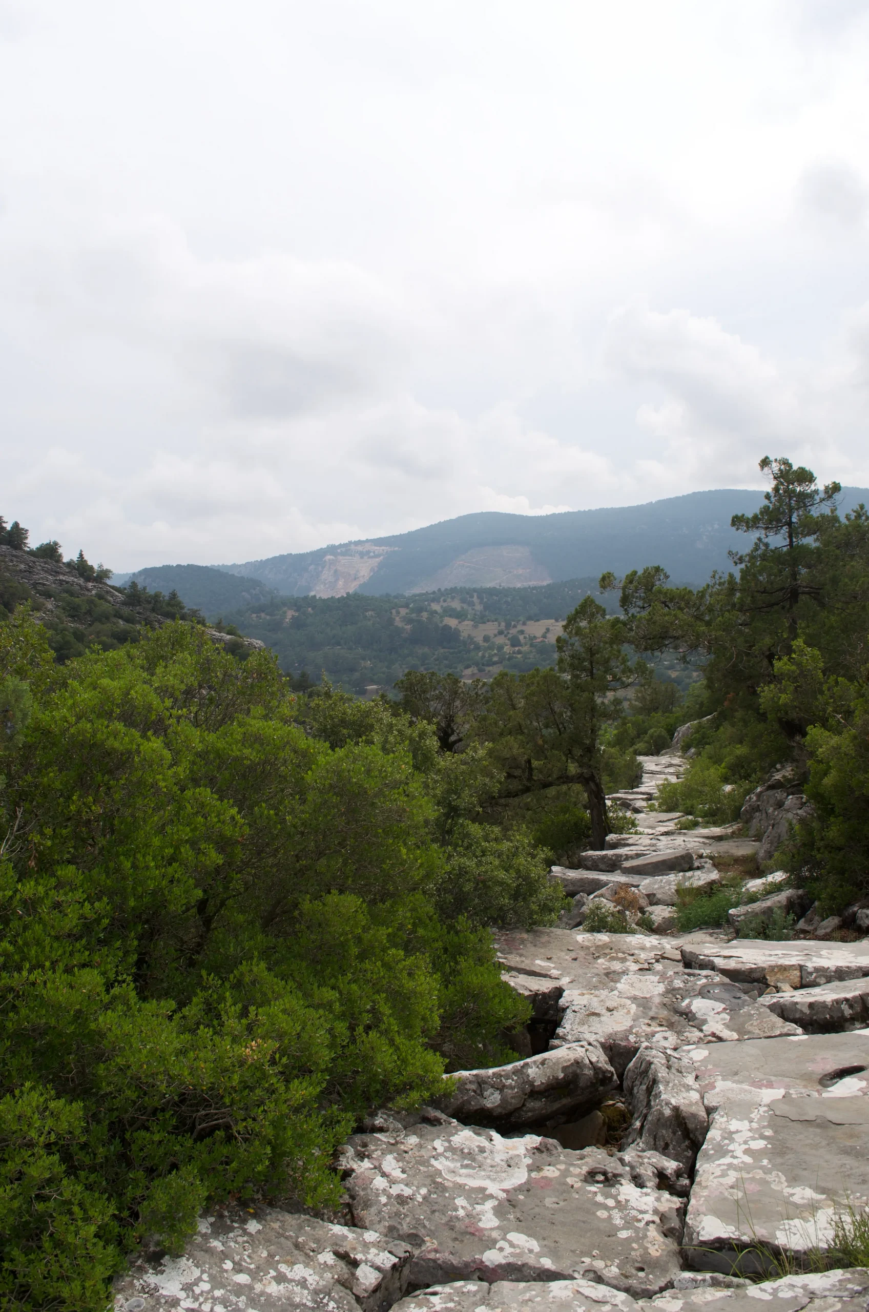 hiking